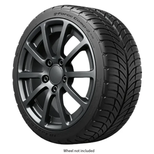 BFGoodrich g-Force COMP-2 A/S PLUS 205/55R16 91W